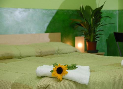 On The Rainbow B&B Rome Bagian luar foto